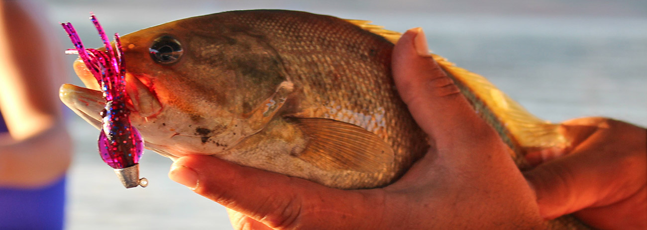 Best FLUKE summer Flounder B2 SQUID Bottom Fishing Glow Lures Neon